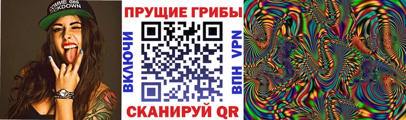 как найти закладки  Харабали  Псилоцибиновые грибы MAGIC MUSHROOMS 